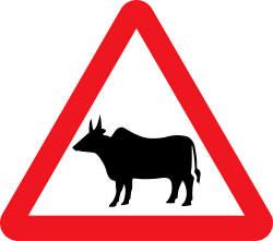 Cattle warning sign in India